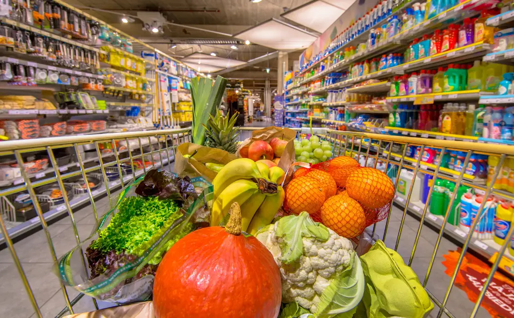 The Future of Checkout-Free Retail