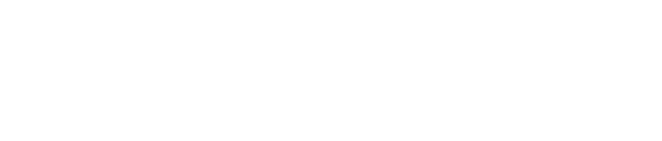 SwiftForce Electronic Technology Co., Ltd. logo